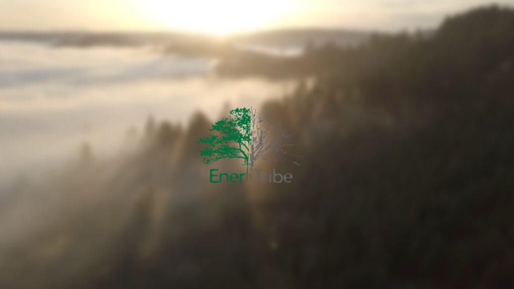 EnerTribe tree logo superimposed over drone image of a forest in fog