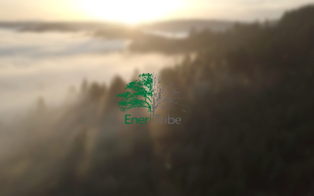 EnerTribe tree logo superimposed over drone image of a forest in fog