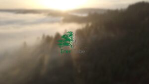 EnerTribe tree logo superimposed over drone image of a forest in fog